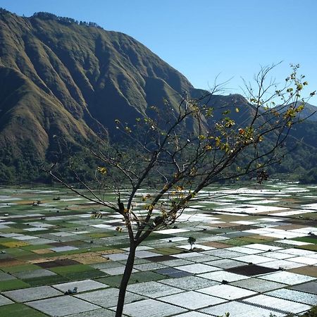 Rinjani Green Park Syariah Hotel Sembalunlawang Dış mekan fotoğraf