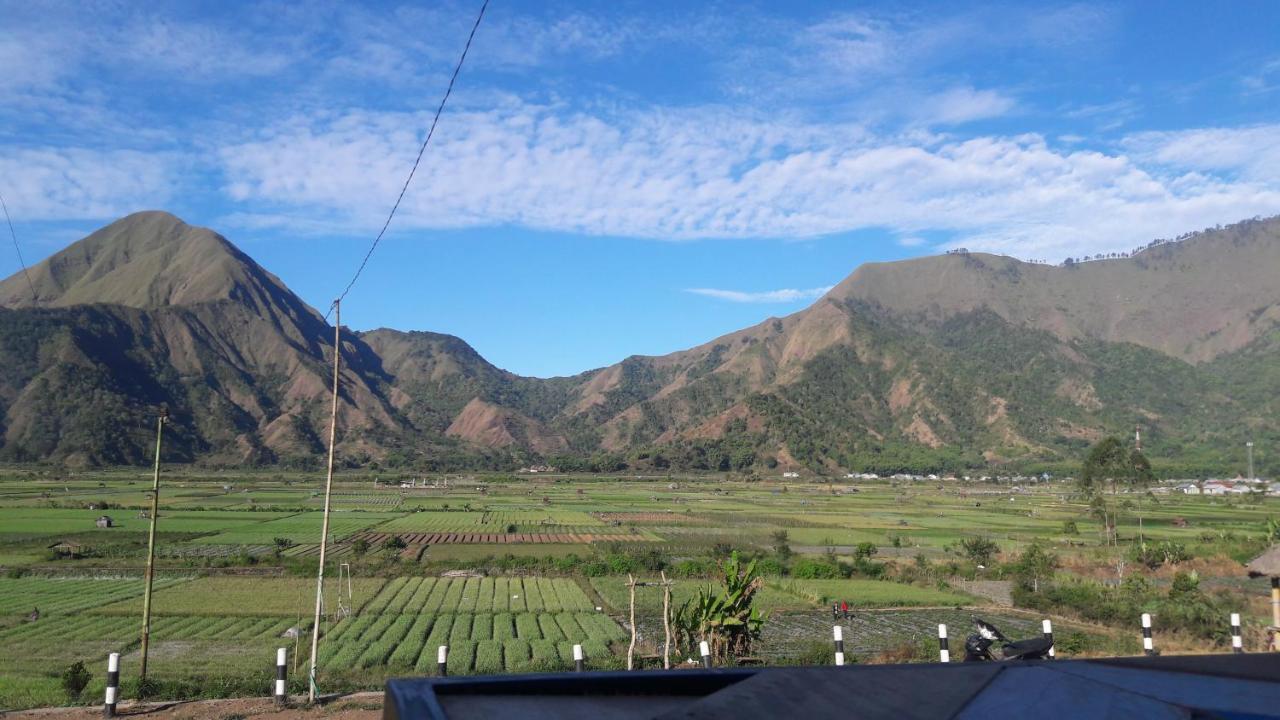 Rinjani Green Park Syariah Hotel Sembalunlawang Dış mekan fotoğraf