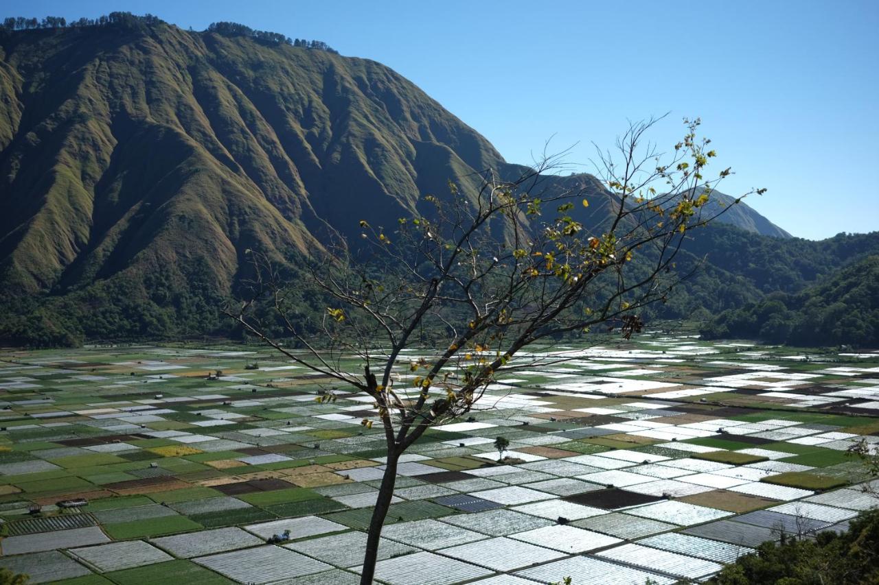 Rinjani Green Park Syariah Hotel Sembalunlawang Dış mekan fotoğraf